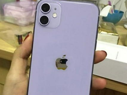 广州市苹果售后维修点查看,ipadpro换一个充电接口要多少钱